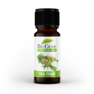 Huile Essentielle Tea Tree 10ML